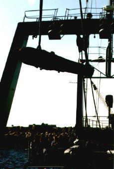 CSS Alabama diving expedition 2